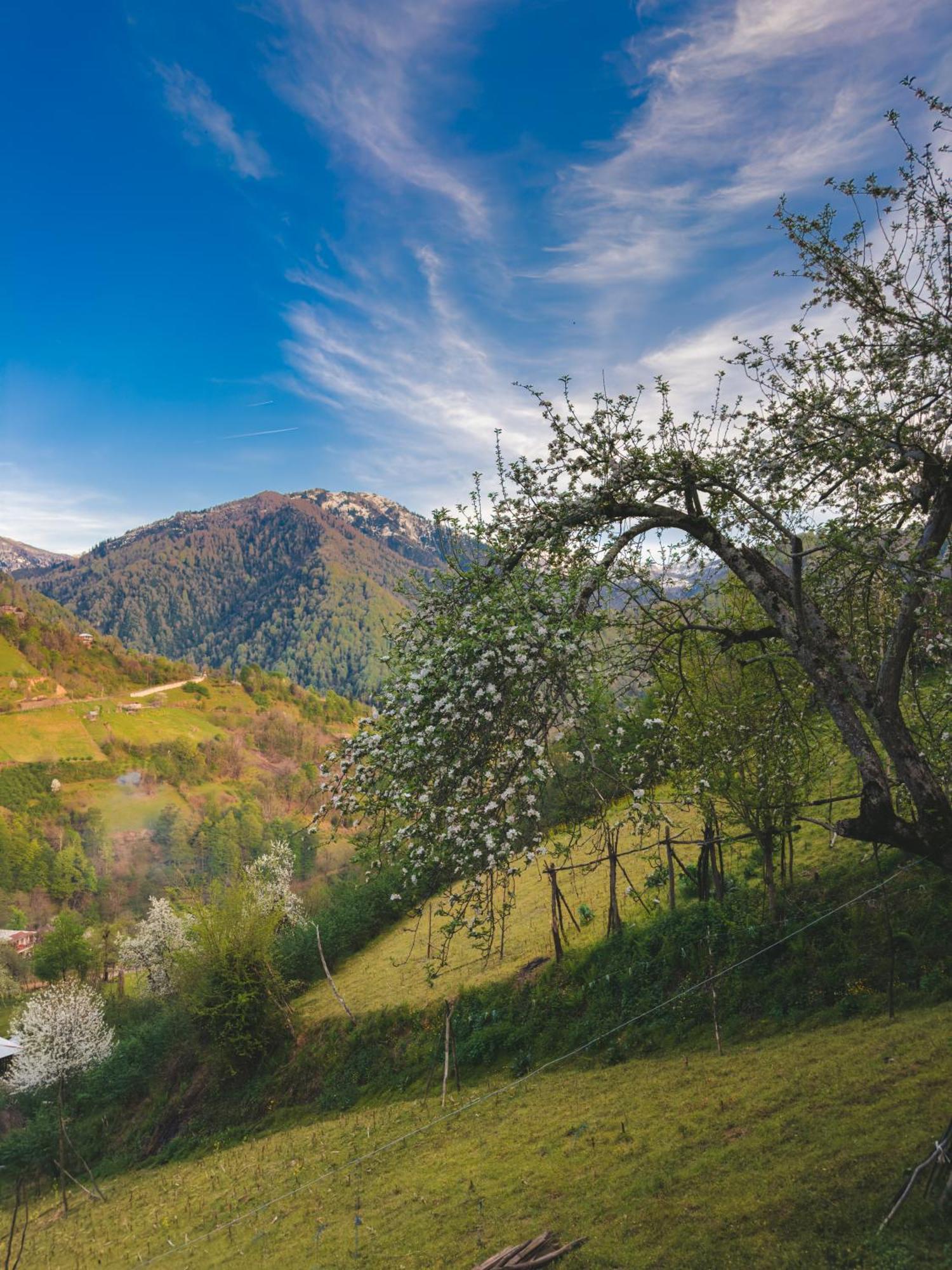 Eco Cottage Sunrise Merisi Exteriér fotografie